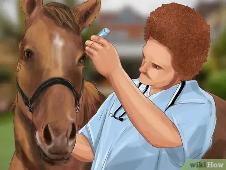 Image titled Insure Your Horse Step 16
