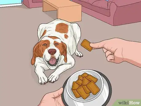 Image titled Hang Out with Your Dog Step 10