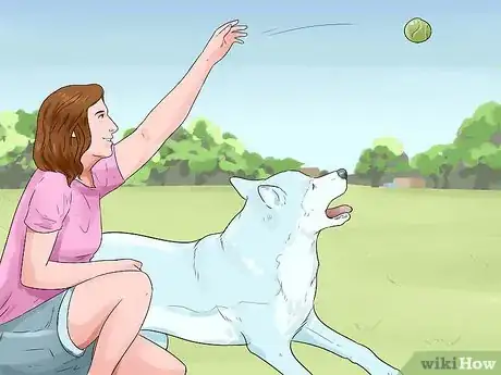 Image titled Take Care of an Alaskan Husky Step 15