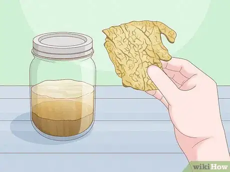 Image titled Dry Kveik Yeast Step 1