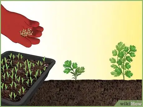 Image titled Plant a Seed Intro