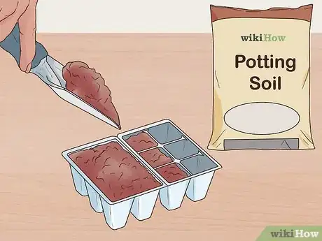 Image titled Grow Perennials From Seed Step 3