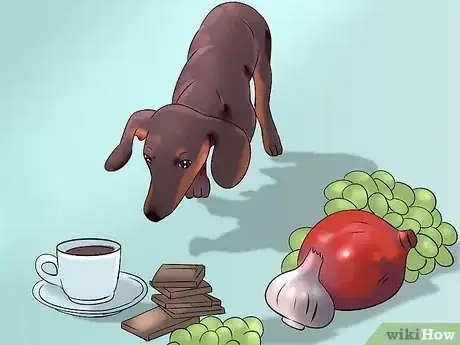 Image titled Know How to Make a Perfect Healthy and Safe Homemade Meal Plan for Your Dog Step 1