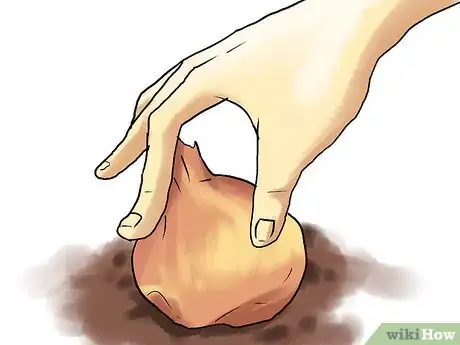 Image titled Grow Winter Onions Step 5