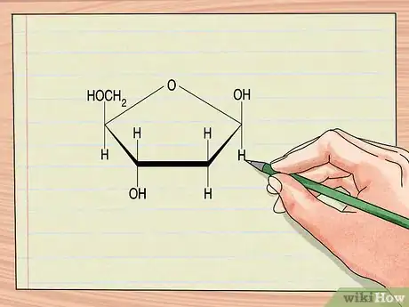 Image titled Understand DNA Structure Step 1