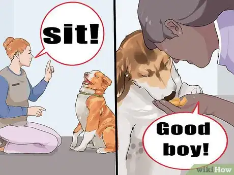 Image titled Responsibly Give a Dog As a Gift Step 15