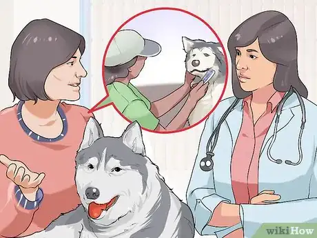 Image titled Find a Good Dog Groomer Step 1