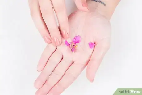 Image titled Remove the Smell of Bleach from Your Hands Step 14