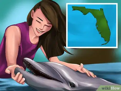 Image titled Choose a Vacation Destination for Animal Lovers Step 14