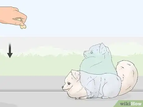 Image titled Teach a Dog to Bow Step 10