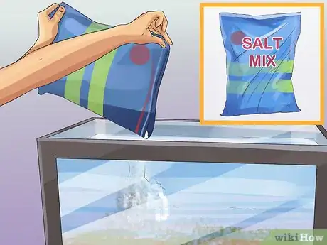 Image titled Start a Saltwater Aquarium Step 21