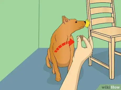 Image titled Train Your Dog to Shake Its Head Step 10