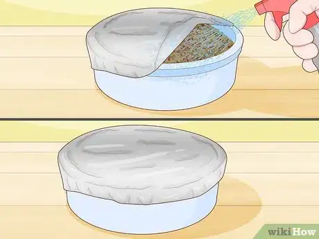 Image titled Grow Arugula Microgreens Step 6