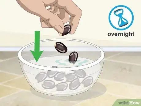 Image titled Plant Guanabana Seeds Step 7