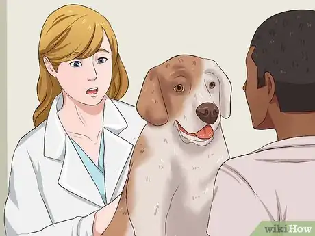 Image titled Diagnose and Treat Your Dog's Itchy Skin Problems Step 10