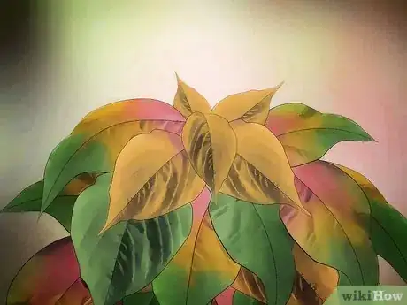 Image titled Grow Amaranth Flowers Step 7