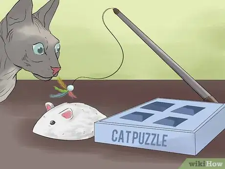 Image titled Identify a Sphynx Cat Step 9