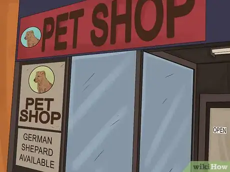 Image titled Buy a German Shepherd Puppy Step 11