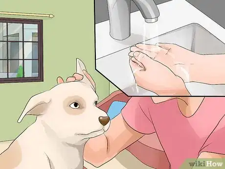 Image titled Prevent Dog Flu Step 7