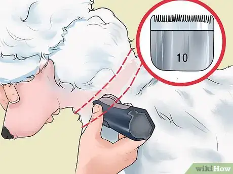 Image titled Do a Banded Dutch on a Poodle Step 4