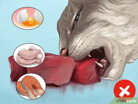 Image titled Avoid Feeding Your Cat Harmful People Foods Step 9