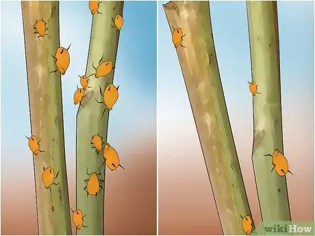 Image titled Buy Organic Insecticides Step 2