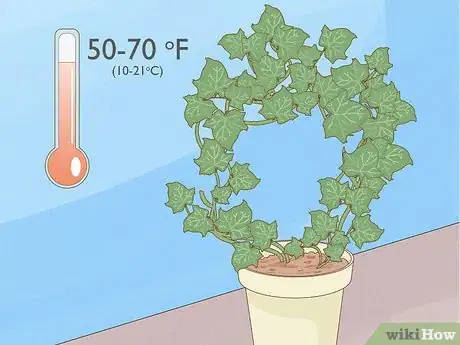 Image titled Grow a Topiary Step 25