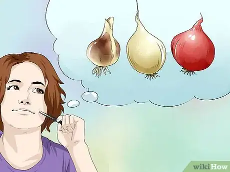 Image titled Grow Onions from Seed Step 1