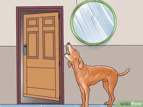 Image titled Keep Your Pet from Being Locked Out Step 6