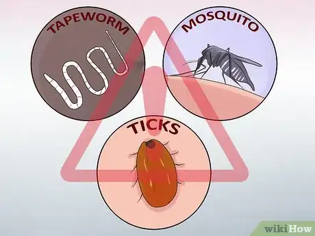 Image titled Holistically Care for a Dog Step 3