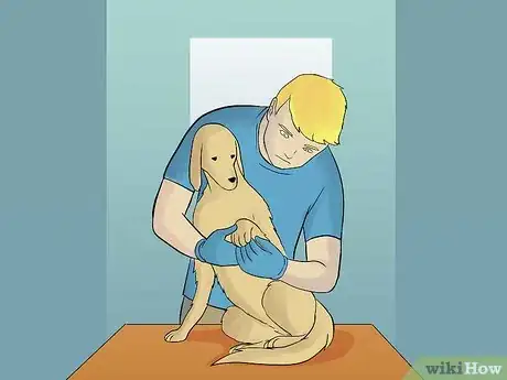 Image titled Wrap a Dog Paw Step 11