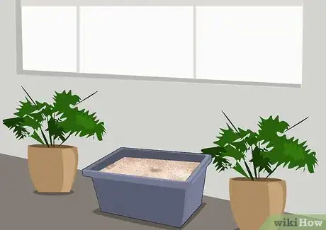 Image titled Grow and Care for Asiatic Lilies Step 11