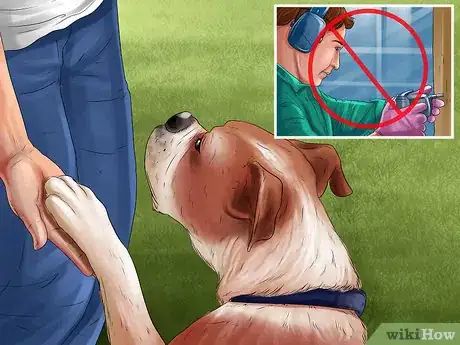 Image titled Deal with Canine Noise Aversion Step 6