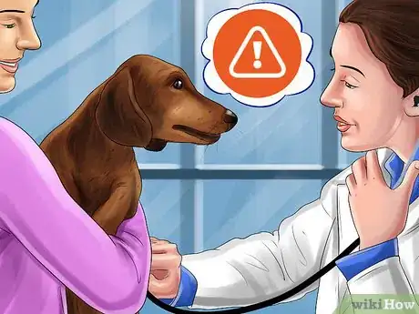 Image titled Save Money on Vet Care for Your Dog Step 6