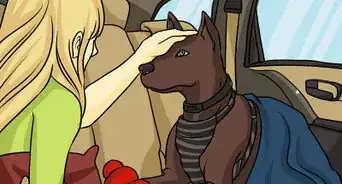 Go on a Car Trip With a Small Dog