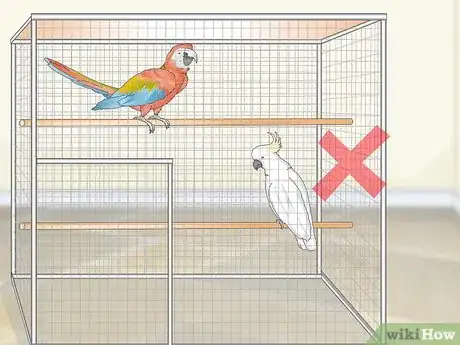 Image titled Treat Allergies in Macaws Step 5