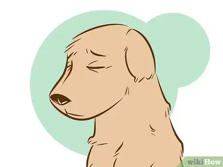 Image titled Recognize a Dying Dog Step 5