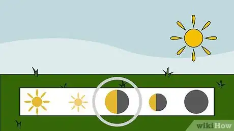 Image titled Grow Alstroemeria Step 3