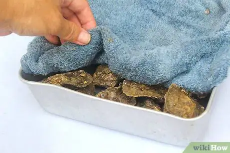 Image titled Fry Oysters Step 5