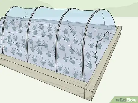 Image titled Use Horticultural Fleece Step 2