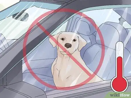 Image titled Keep Your Dog Comfortable Outdoors Step 13