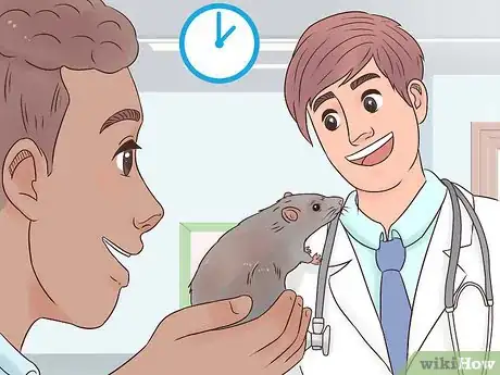 Image titled Desex a Pet Rat Step 5