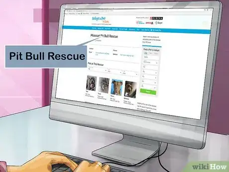 Image titled Adopt a Pitbull Step 7