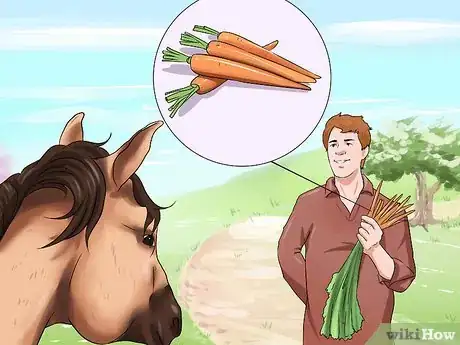 Image titled Get a Head Shy Horse To Trust You Step 7