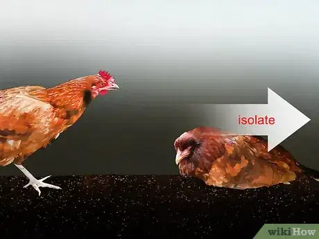 Image titled Be a Poultry Farmer Step 14