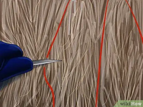 Image titled Cut and Gather String or Net Wrap Off of Round Bales Step 1