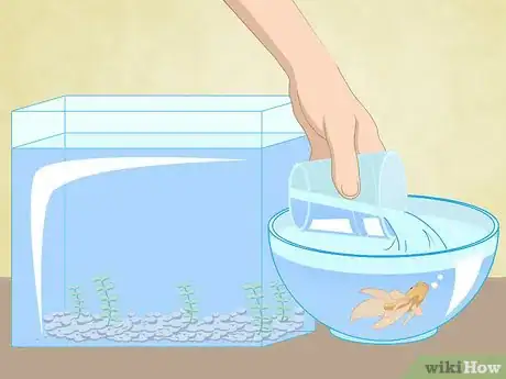 Image titled Clean a Betta Fish Tank Step 5
