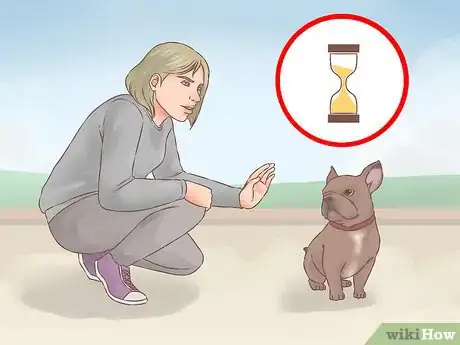 Image titled Become Friends with an Unfriendly Dog Step 7