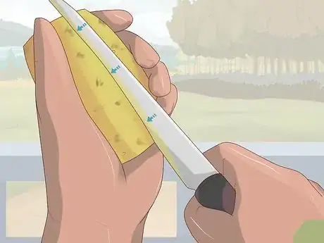 Image titled Cut a Prickly Pear Step 4