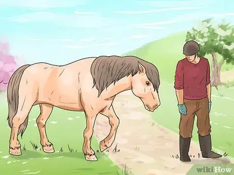 Image titled Massage a Horse Step 9